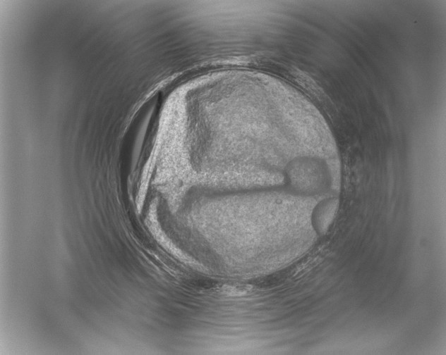 X0000051880346200507221955