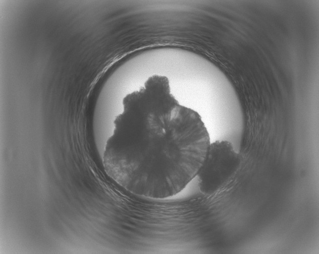 X0000051880347200507221955