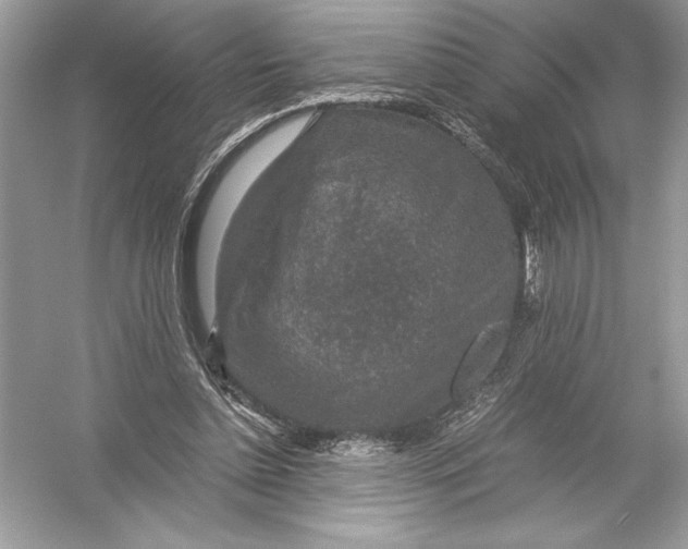 X0000051880348200507221955