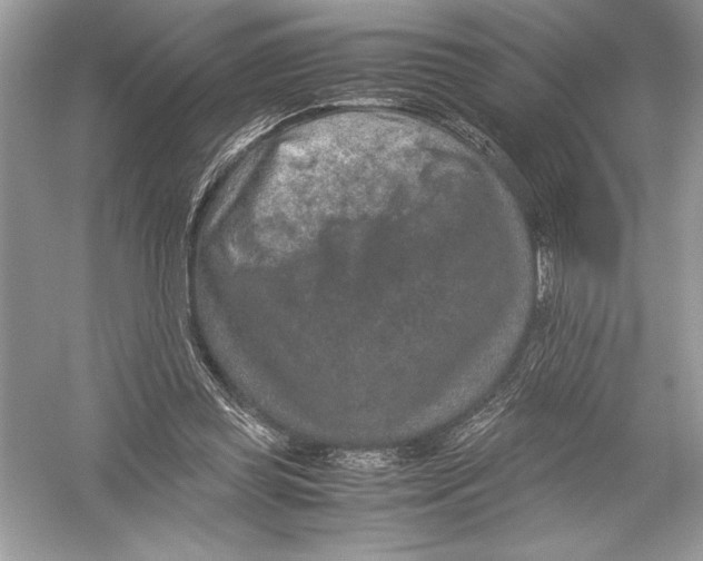 X0000051880349200507221955