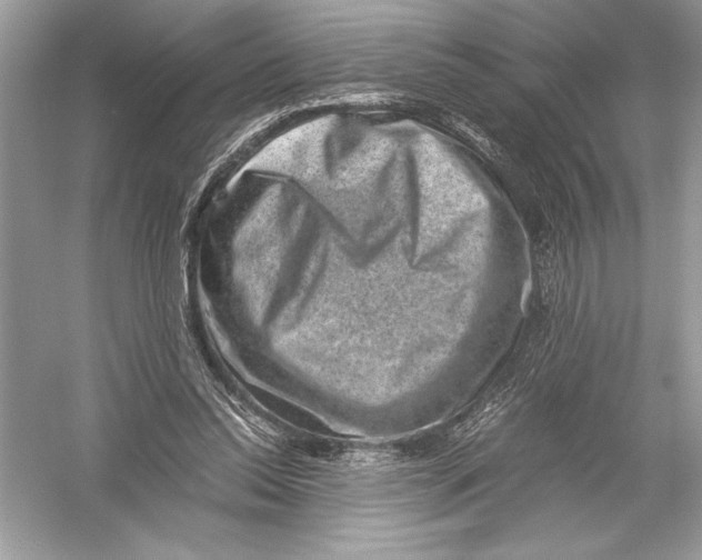 X0000051880350200507221955