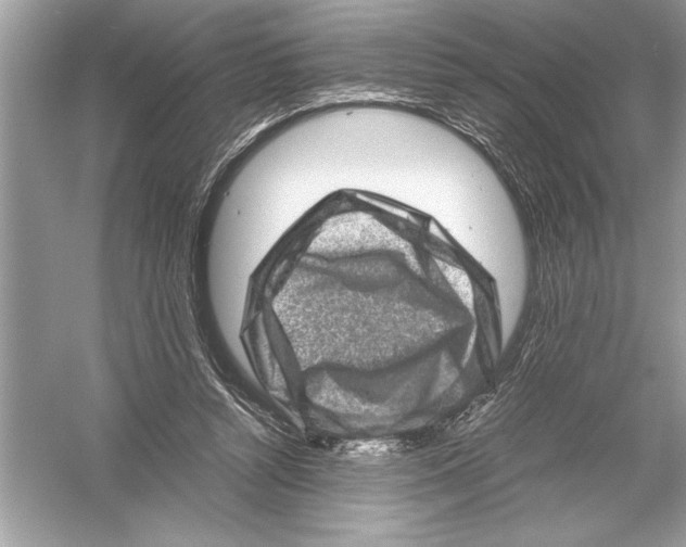 X0000051880352200507221955