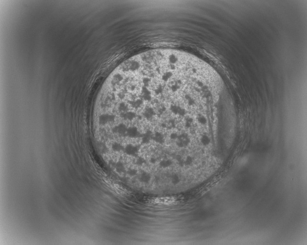 X0000051880353200507221955