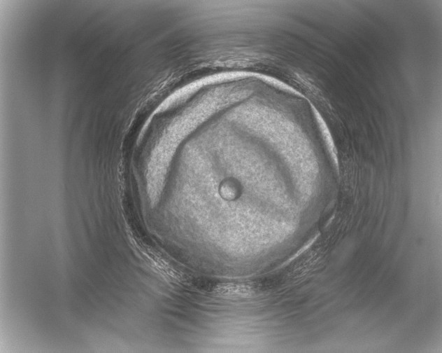 X0000051880354200507221955