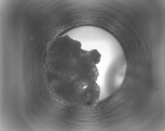 X0000051880355200507221955