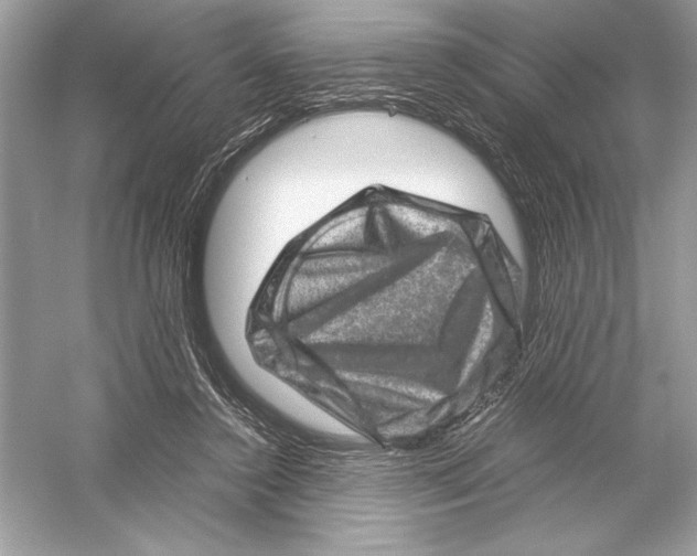 X0000051880356200507221955