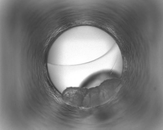 X0000051880357200507221955