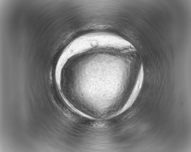 X0000051880358200507221955