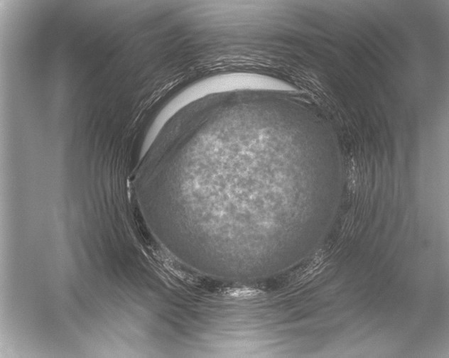 X0000051880360200507221955