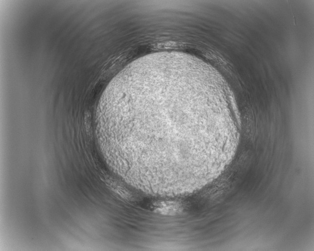 X0000051880361200507221955