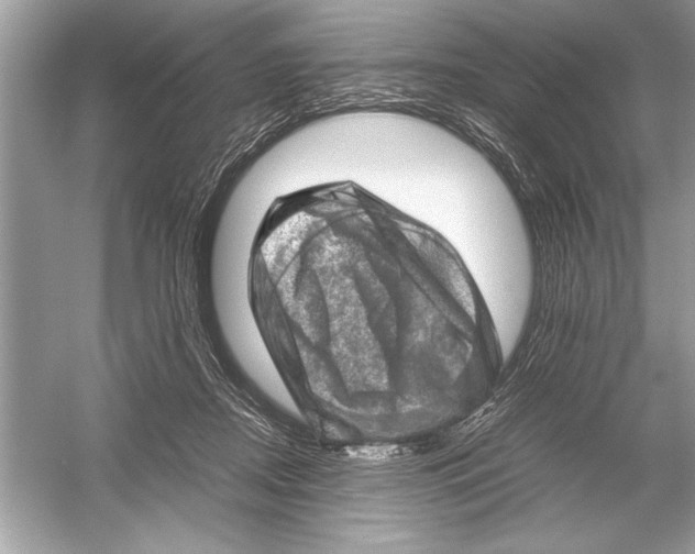 X0000051880362200507221955