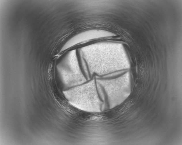 X0000051880364200507221956