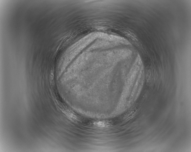 X0000051880365200507221956