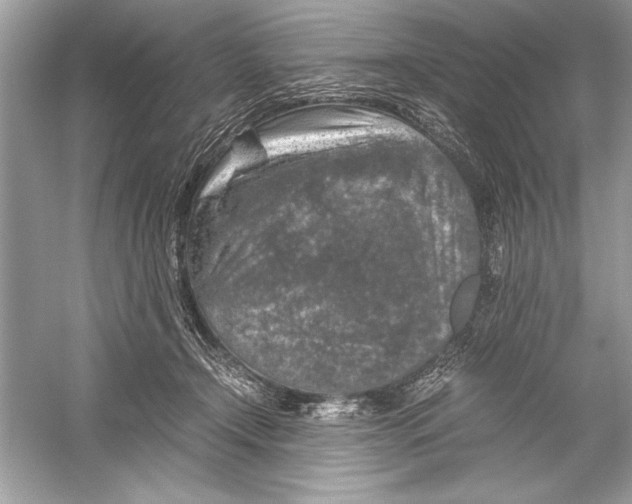 X0000051880366200507221956