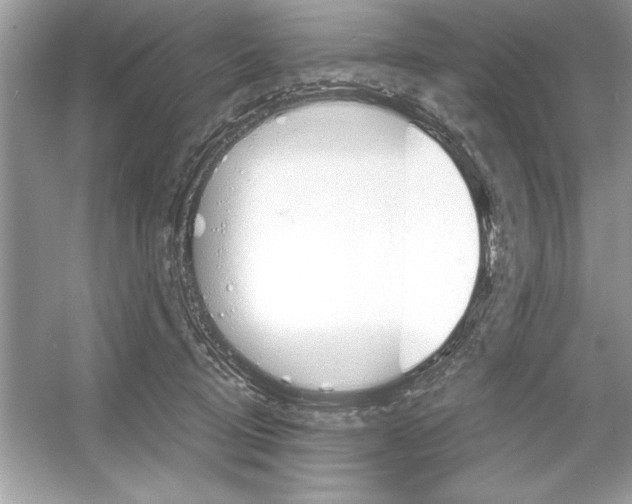 X0000051880370200507221956