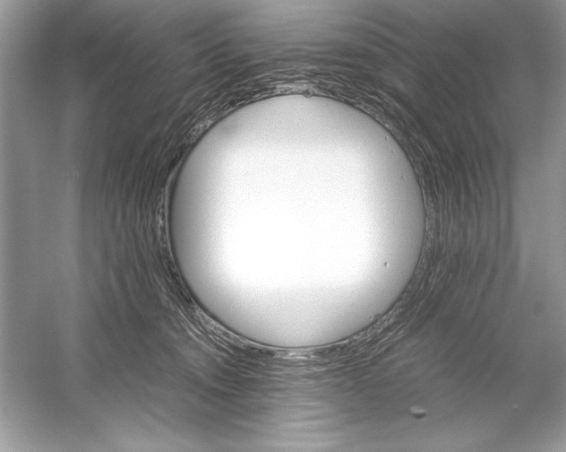 X0000051880372200507221956