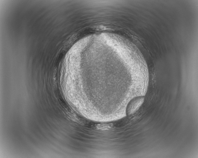 X0000051880373200507221956