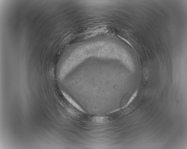 X0000051880375200507221956