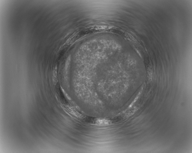 X0000051880376200507221956