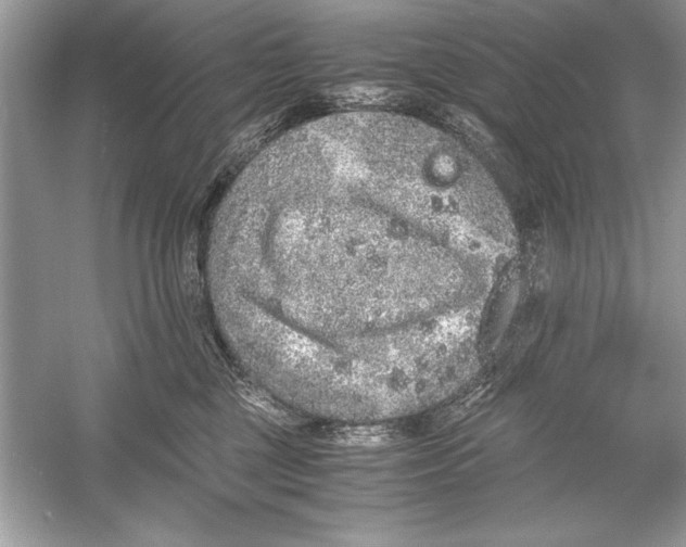 X0000051880377200507221956