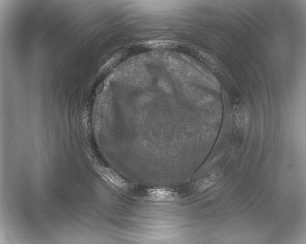 X0000051880380200507221956