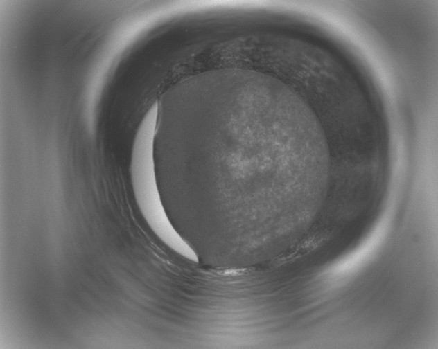 X0000051880382200507221956