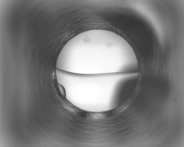 X0000051880383200507221956