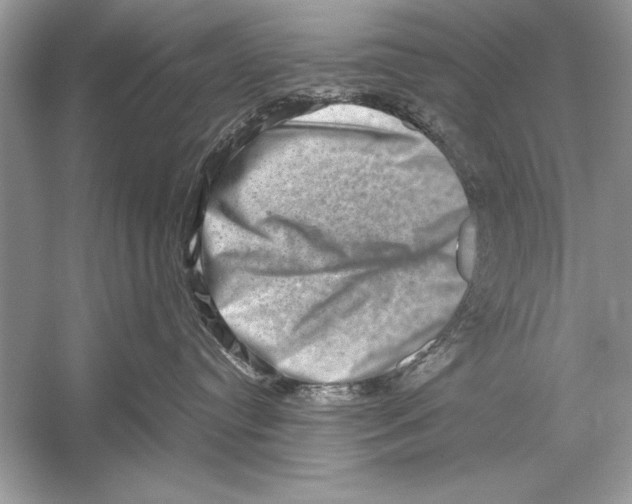 X0000051880384200507221956