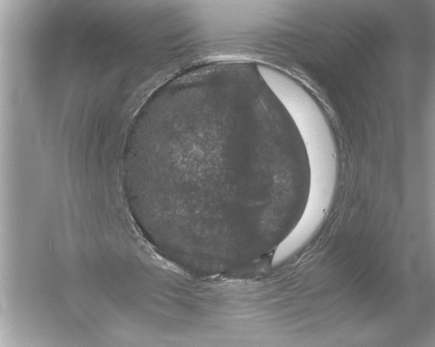 X0000051880385200507221955