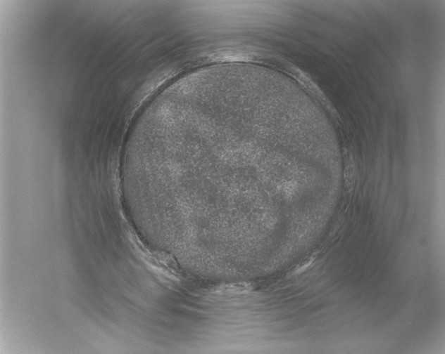 X0000051880386200507221955