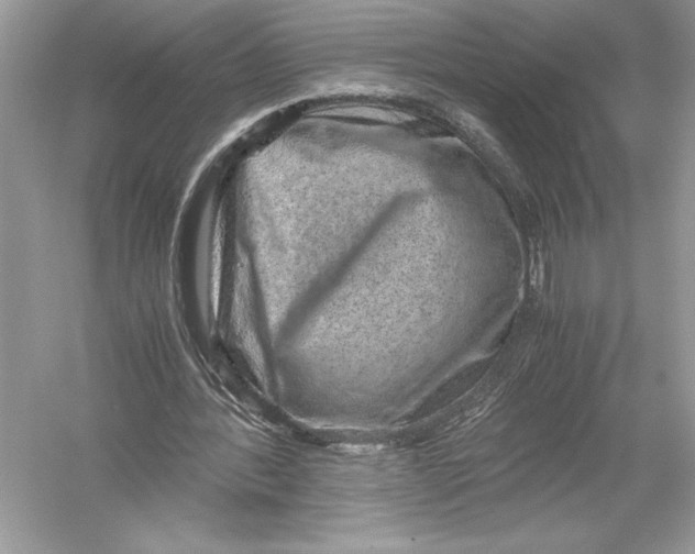 X0000051880388200507221955