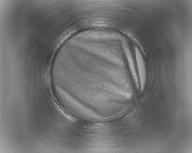 X0000051880390200507221955