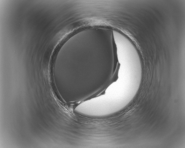 X0000051880391200507221955