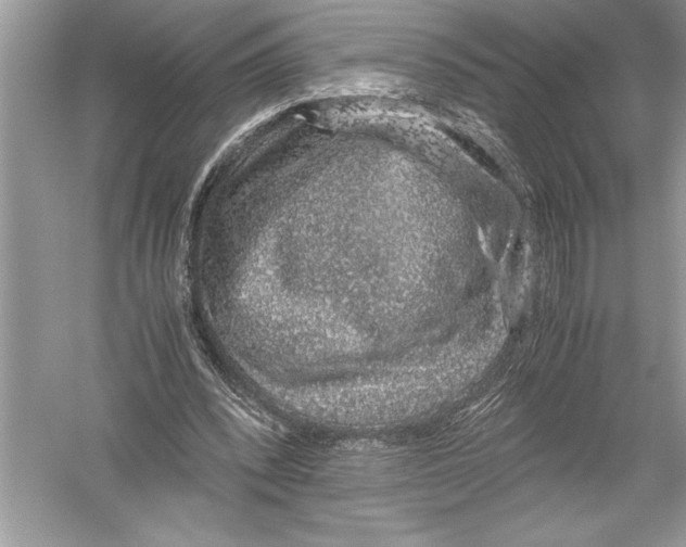 X0000051880392200507221955