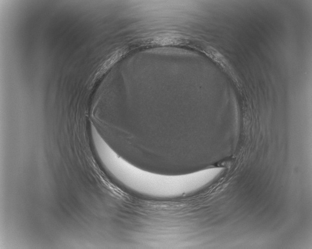 X0000051880393200507221955