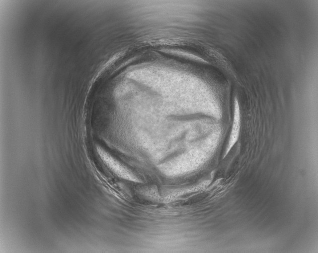 X0000051880395200507221955