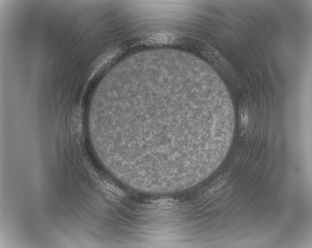 X0000051880396200507221955