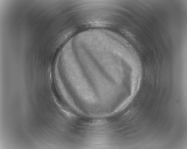 X0000051880398200507221955