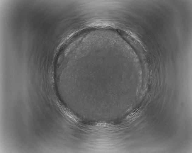 X0000051880399200507221955