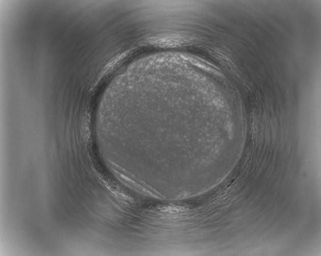 X0000051880400200507221955