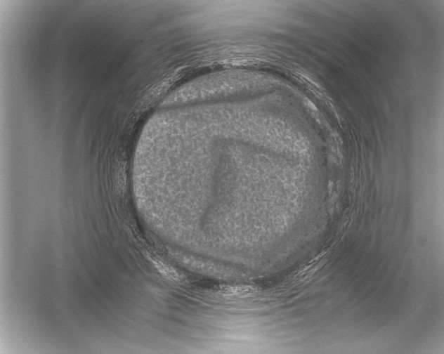 X0000051880401200507221955