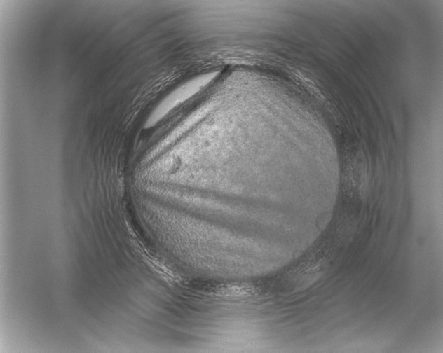 X0000051880402200507221955