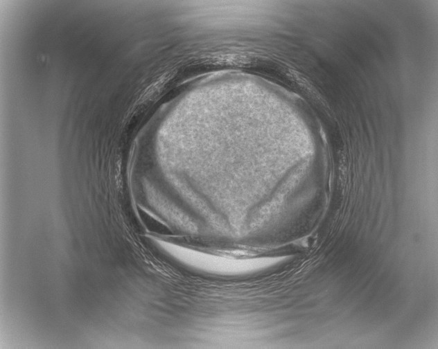 X0000051880403200507221955