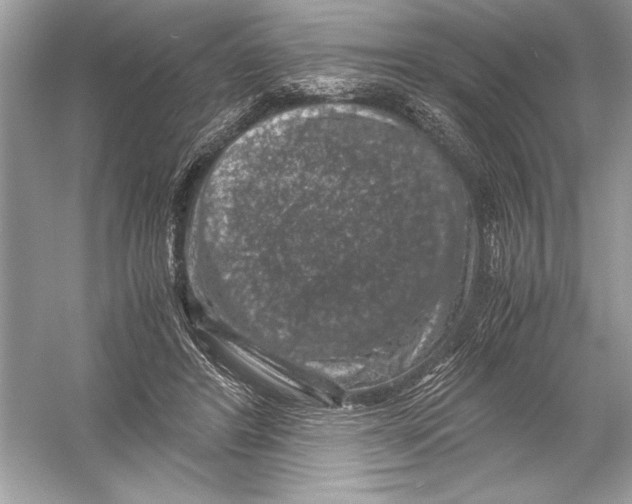 X0000051880404200507221955