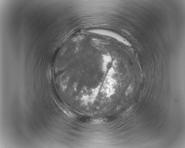 X0000051880405200507221955