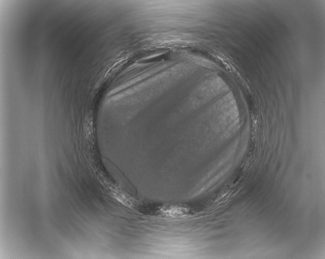 X0000051880407200507221955