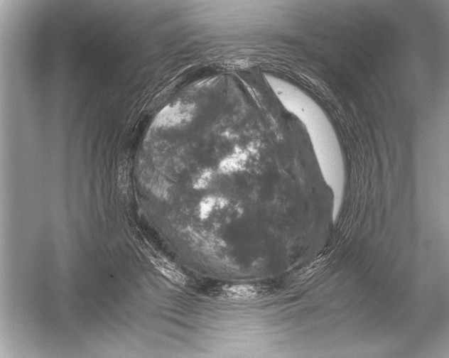 X0000051880409200507221955