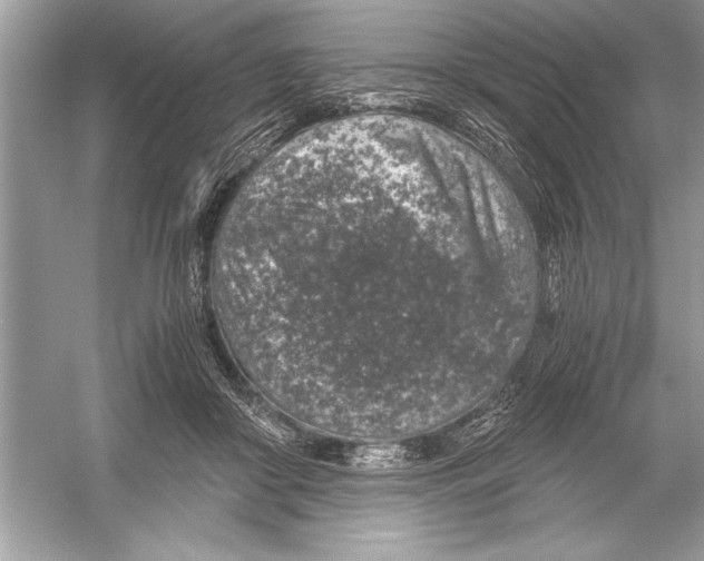 X0000051880410200507221955