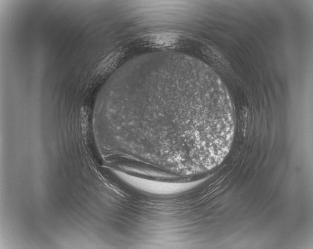 X0000051880412200507221955