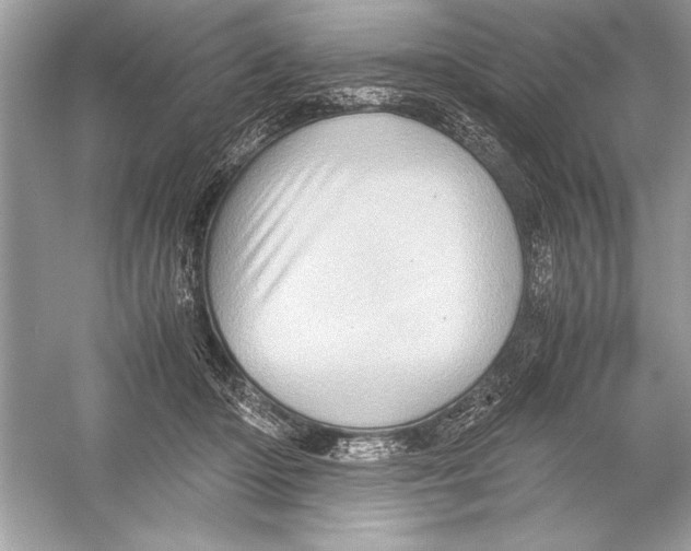 X0000051880414200507221955